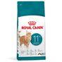 Royal Canin FHN Ageing Dry Cat Food 11+ 400g