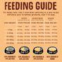 Scrumbles Dry Dog Food for Adult & Seniors Chicken 2kg