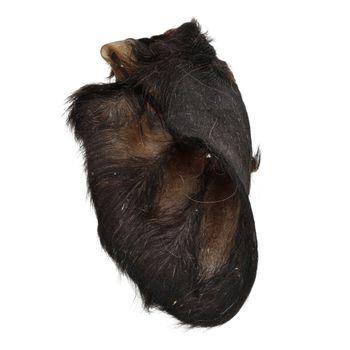 Jollyes Beef Ears With Hair, Single