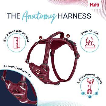 Halti Anatomy Dog Harness Magenta Medium