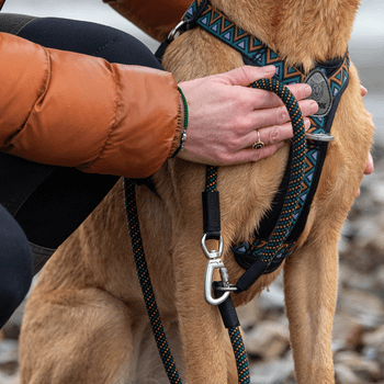 Neerdog GO-B-Flextra Multifunctional Rope Dog Lead Black, Green & Orange
