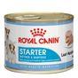 Royal Canin Wet Dog Food Starter Mousse 195g