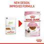 Royal Canin Kitten Pouch Multipack in Gravy 48x85g