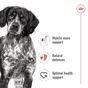 Royal Canin Medium Adult Wet Dog Food Cans In Loaf 410g
