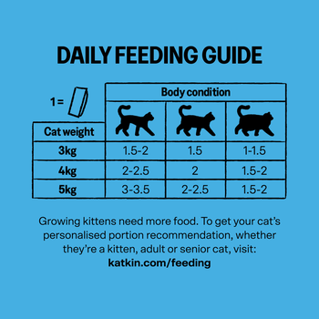 KatKin SPLASH Fresh Fish & Turkey Cat Food 80g