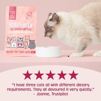 Scrumbles Dry Cat Food for Adult & Seniors Salmon 750g