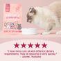 Scrumbles Dry Cat Food for Adult & Seniors Salmon 750g