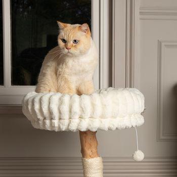 Scruffs Colorado Cat Scratching Tree Cream