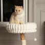 Scruffs Colorado Cat Scratching Tree Cream