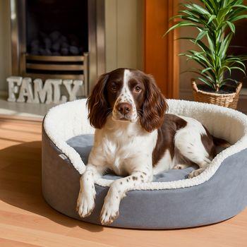 Dream Paws Oval Velvet Dog Bed Grey Large