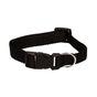 Simply Jollyes Dog Collar & Lead Set - M/L