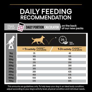 PRO PLAN Medium & Large Senior 7+ Sensitive Skin Salmon Dry Dog Food 14kg