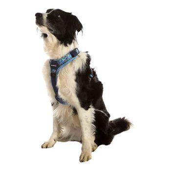 Doodlebone 'With Me' Dog Harness Blue 4-7