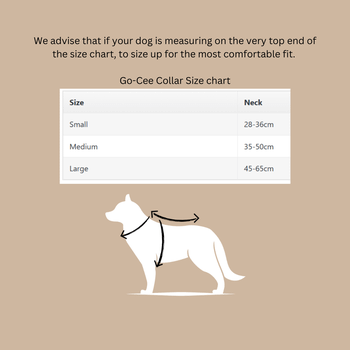 Neerdog Go-Cee-Hollyhock-Collar Large