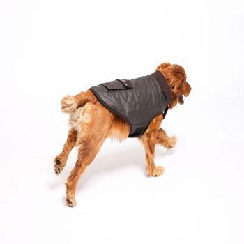 Rufus & Rosie Wax Style Reflective Dog Jacket, XL