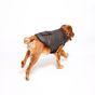 Rufus & Rosie Wax Style Reflective Dog Jacket, XL