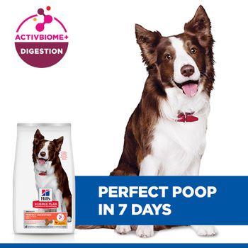 Hill's Science Plan Perfect Digestion Medium Adult 1+ Dry Dog Food with Chicken & Brown Rice 2.5kg