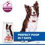 Hill's Science Plan Perfect Digestion Medium Adult 1+ Dry Dog Food with Chicken & Brown Rice 2.5kg