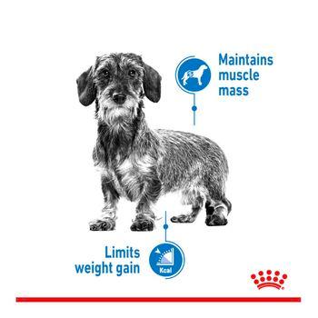 Royal Canin Dry Dog Food Mini Light Weight Care Adult 3kg