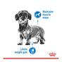 Royal Canin Dry Dog Food Mini Light Weight Care Adult 3kg