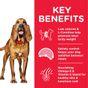 Hill's Science Plan Mature Adult Light Medium Dry Dog Food Chicken Flavour 2.5kg 