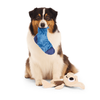 Bark Dobby Harry Potter Dog Toy