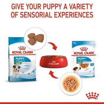 Royal Canin Puppy Small Breed Wet Dog Food in Gravy 48x85g