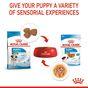 Royal Canin Puppy Small Breed Wet Dog Food in Gravy 48x85g
