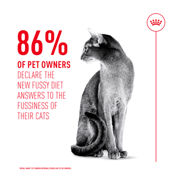 Royal Canin Fussy Dry Cat Food 400g
