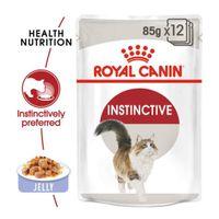Royal Canin Wet Cat Food Adult, Instinctive Adult, Jelly, 12x85g