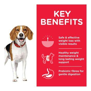 Hill's Science Plan Adult Perfect Weight Medium Dry Dog Food Chicken Flavour, 2kg