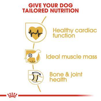 Royal Canin Dry Dog Food Rottweiler Adult 12kg
