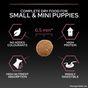 PRO PLAN Small & Mini Sensitive Skin Salmon Dry Dog Food 3kg
