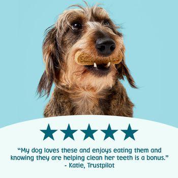 Scrumbles Gnashers for Dogs, Daily Dental Sticks 125g