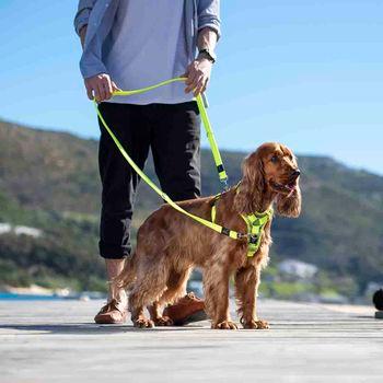 Rogz Utility Control Black Dog Harness, Medium