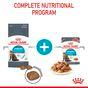 Royal Canin Urinary Care Wet Cat Food in Gravy 48x85g