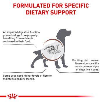Royal Canin Gastrointestinal High Fibre Adult Dry Dog Food 14kg