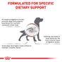 Royal Canin Gastrointestinal High Fibre Adult Dry Dog Food 14kg