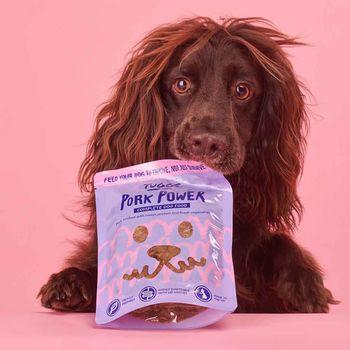 Tuggs Pork Power Complete Fresh Frozen Dog Food 700g