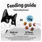 Felix  Treats Goody Bag Mixed Grill 60g