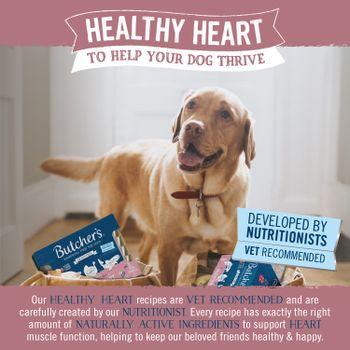 Butcher's Healthy Heart Dog Food Trays 12x150g 