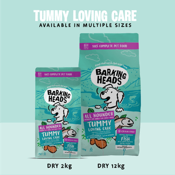 Barking Heads All Hounder Tummy Lovin' Care Fish Dry Dog Food, 12kg