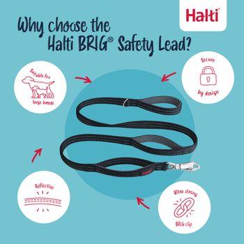 Halti BRIG Dog Safety Lead Neon Coral Large