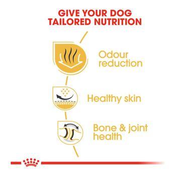 Royal Canin Dry Dog Food Bulldog Adult 12kg