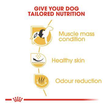 Royal Canin French Bulldog Adult 3kg