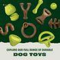 Benebone Rubber Bone Dog Toy
