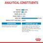 Royal Canin Puppy Small Breed Wet Dog Food in Gravy 48x85g