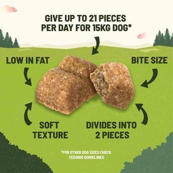 Adventuros Salmon Training Dog Treats 115g
