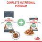 Royal Canin Digestive Care Wet Cat Food in Gravy 48x85g