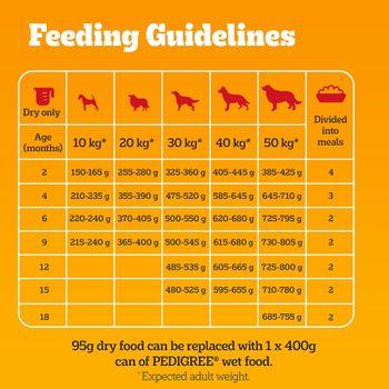 Pedigree Puppy Medium Dog Complete Dry with Poultry and Rice 12kg